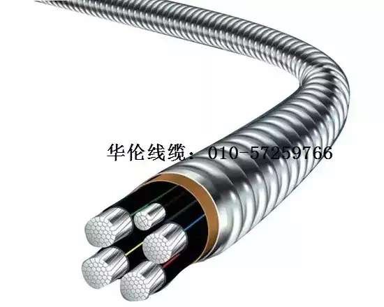 滄州市統(tǒng)計(jì)工作規(guī)范化建設(shè)推進(jìn)會(huì)在華倫公司順利召開！