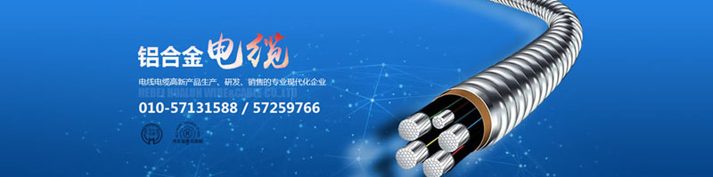 滄州市統(tǒng)計(jì)工作規(guī)范化建設(shè)推進(jìn)會在華倫公司順利召開！