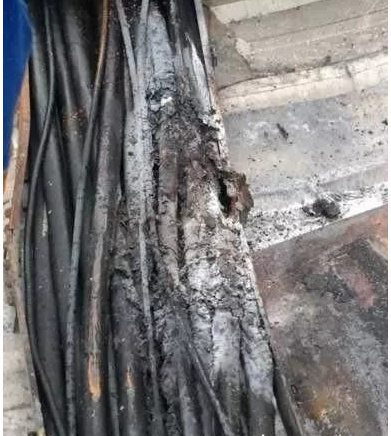 1614909042264679.png 11182610236149.png